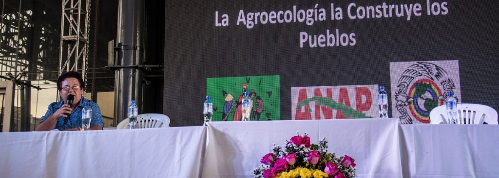“Para La Vía Campesina nuestra alternativa de lucha es la Agroecología Campesina  y Popular, en contraposición al modelo de producción industrial”
