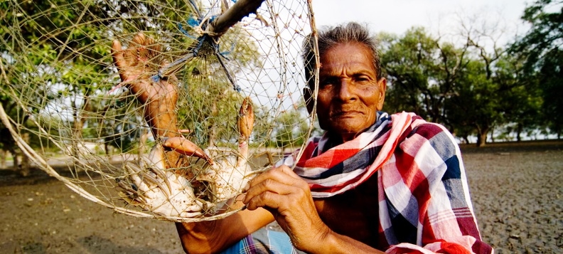 #17Abril2019 – “La Declaración de Derechos Campesinos debe ser una herramienta política para la Reforma Agraria y la  justicia social”