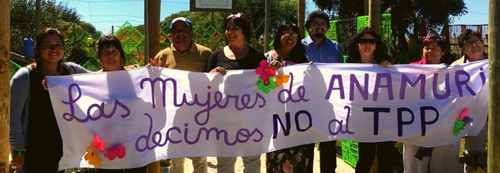 Chile: Declaración pública ANAMURI frente a la imposición del TPP-11