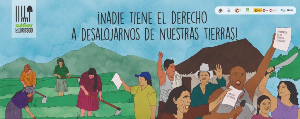 El campesinado hondureño se une para reclamar su derecho de #CultivarSinRiesgo