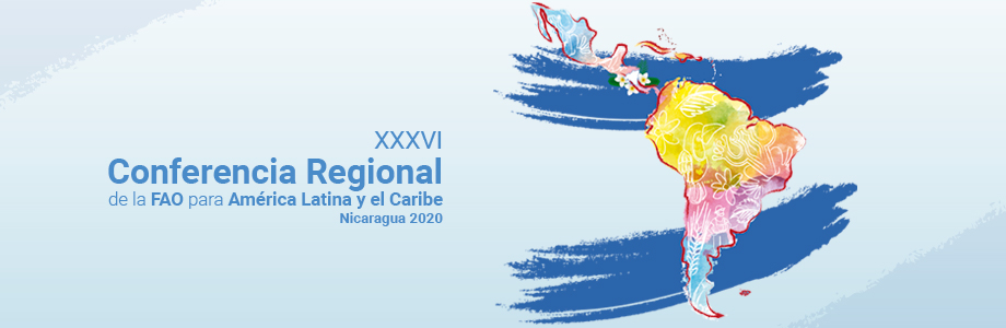 Cloc – Vía Campesina en 36° Conferencia de la FAO  en América Latina