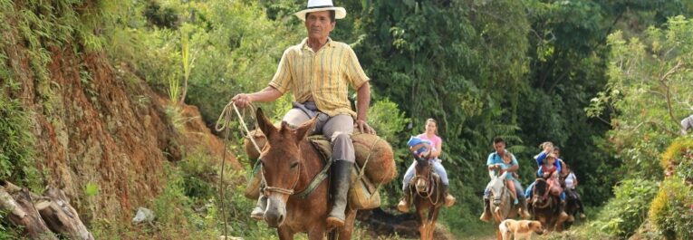 Colombia: Reforma rural integral – ¡Solo se ha completado el 4%!
