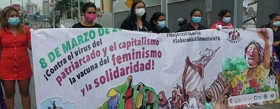 Honduras: Con el COVID-19, y los impactos de ETA e IOTA, la condición de violencia se ha profundizado para las mujeres rurales
