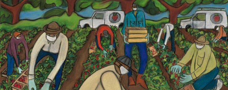 Boletín Nyéléni # 43: Soberanía Alimentaria en tiempos de pandemia