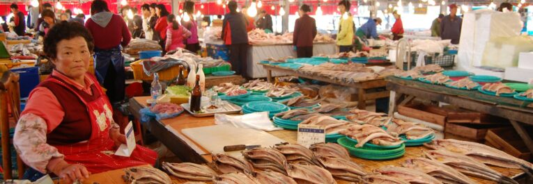 Corea del Sur: Se realizó el Foro UNDROP para integrar los derechos de lxs campesinxs en la política agrícola, pesquera y rural