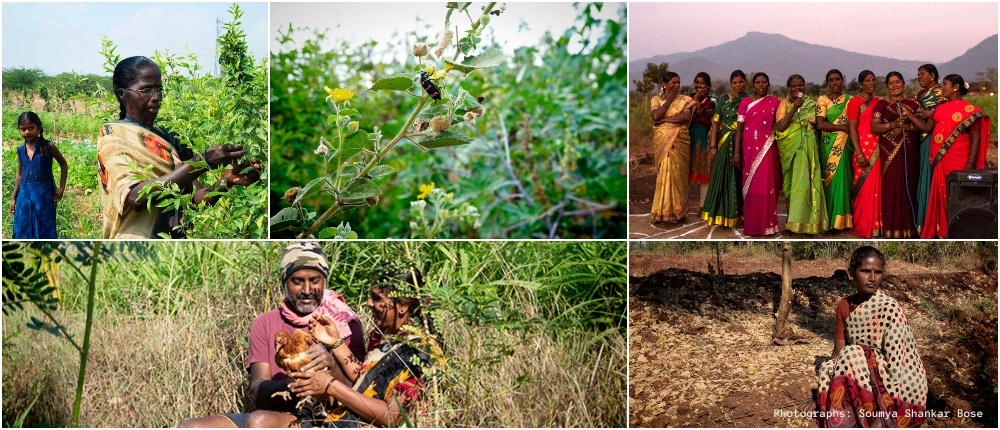 Las prácticas agroecológicas de lxs campesinxs (ZBNF) significan avances en el reto de la Soberanía Alimentaria en los Estados del Sur de India