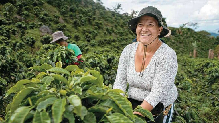 Acuerdo de Paz en Colombia: ¿Cómo avanza la implementación del enfoque de género?