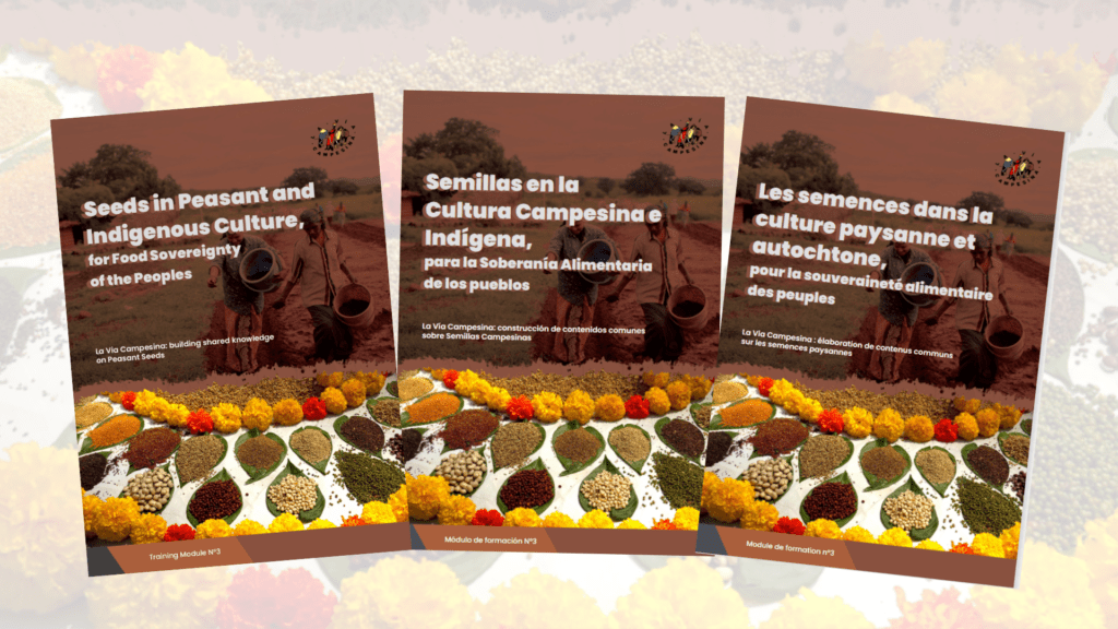 Módulo de formación N°03| Semillas en la cultura campesina e indígena