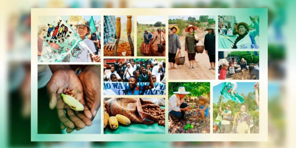 #16Oct22 | Construir nuevas y más fuertes alianzas para fortalecer el movimiento por la Soberanía Alimentaria – Llamado a la Acción Global