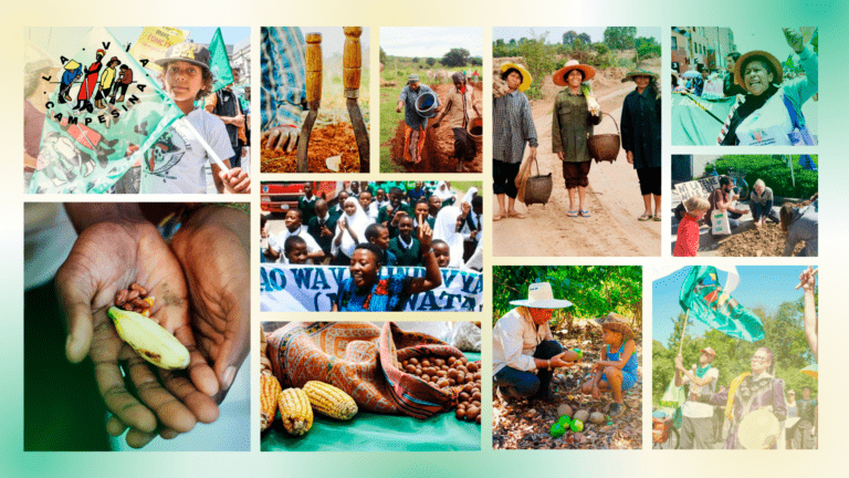 #16Oct22 – Día Internacional de Acción por la Soberanía Alimentaria de los Pueblos y contra las transcionales