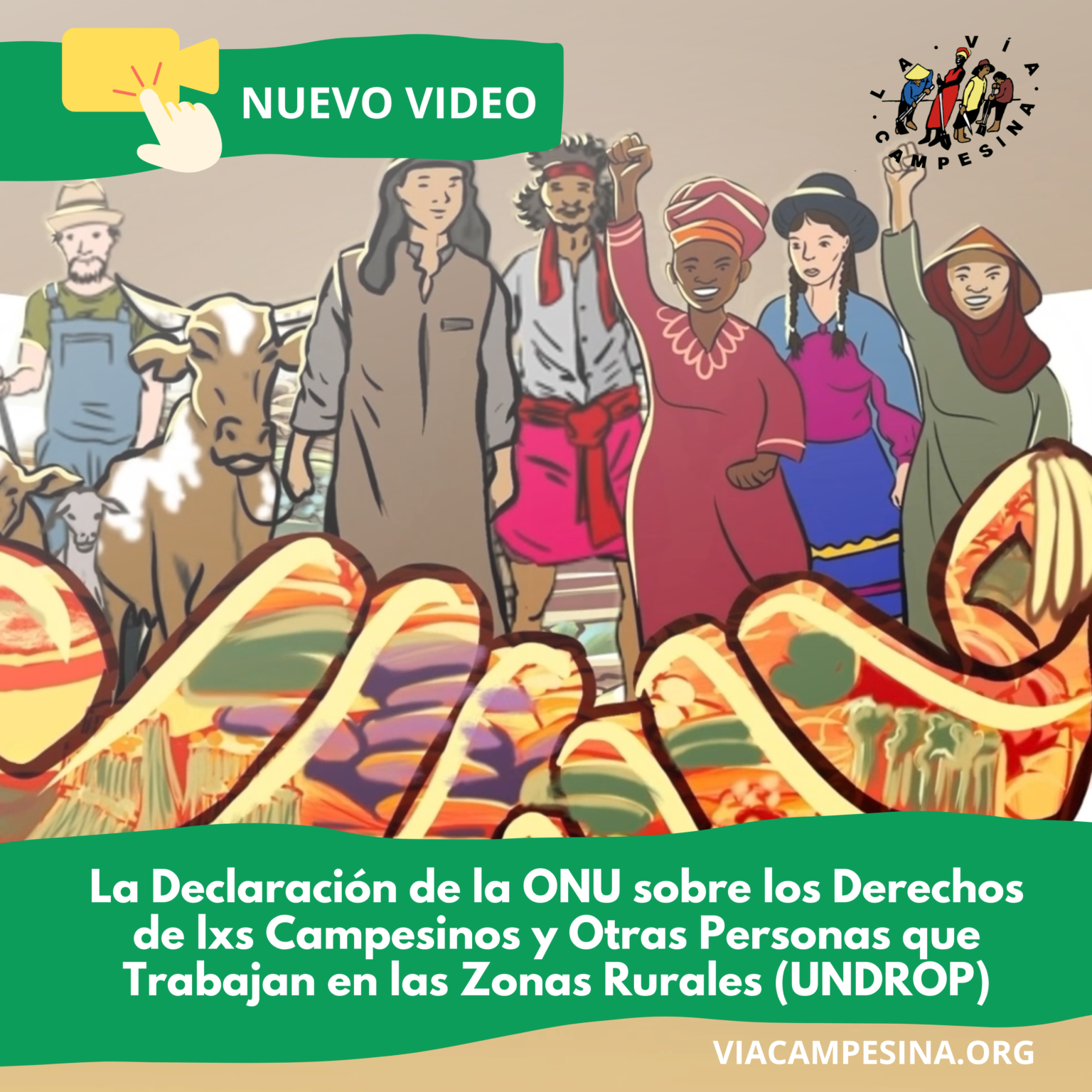 Nuevo Video La Declaración De Las Naciones Unidas Sobre Los Derechos