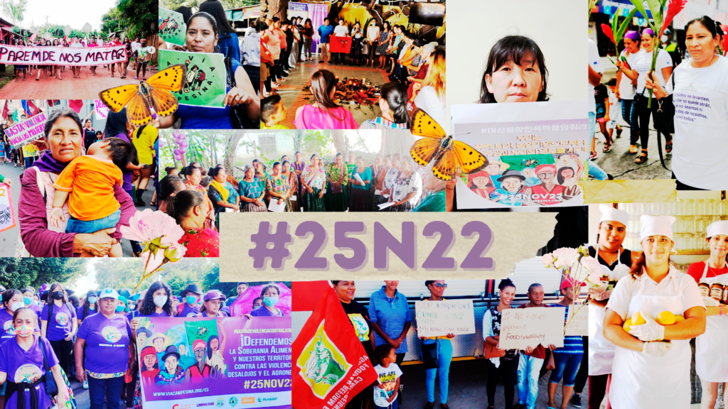 #25Nov22 – La rebeldía campesina tomó las calles en el Día Internacional de la Eliminación de la Violencia contra las Mujerxs