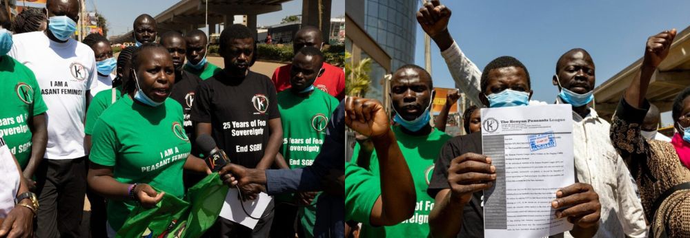 La lucha legal de la Liga de Campesinxs de Kenia KPL, contra el levantamiento de la prohibición de los transgénicos