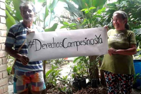 Colombia: El reconocimiento del campesinado como sujeto político de derechos es una deuda histórica del Estado