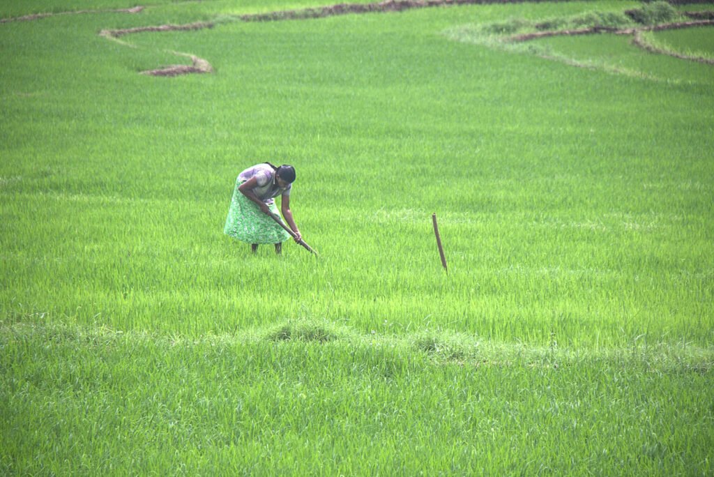 «La FAO debe defender los intereses de lxs productorxs de alimentos a pequeña escala ¡Precios garantizados para nuestros productos!» MONLAR, Sri Lanka