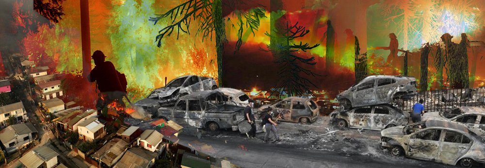 Incendios forestales en Chile: ANAMURI llama a la solidaridad y al fin de los monocultivos forestales