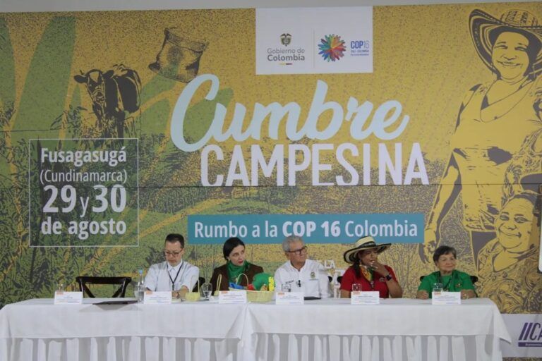 Colombia: Declaración de la Cumbre Campesina mientras se aceleran los preparativos para la COP16 de Biodiversidad