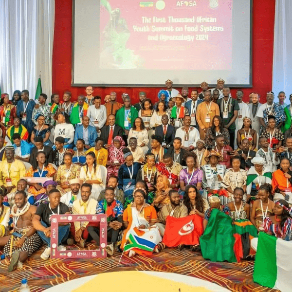 Jóvenes africanos participan en sesiones de formación en Sudáfrica, Etiopía y Mauricio