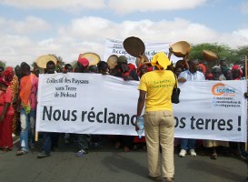 L’accaparement des terres s’invite dans la campagne présidentielle du Sénégal