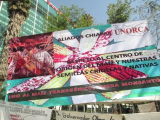 Lettre de soutien de La Via Campesina aux grévistes de la faim de l’UNORCA