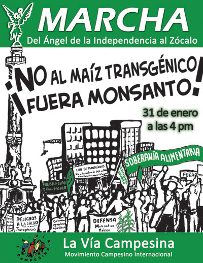 Mexique, 31 Janvier , grande marche contre le maïs transgénique