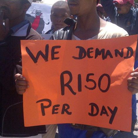 Afrique du Sud : La Via Campesina Afrique soutient les ouvriers agricoles en grève
