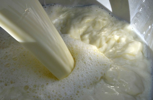 Suisse, marché laitier : un nouvel affront pour les familles paysannes