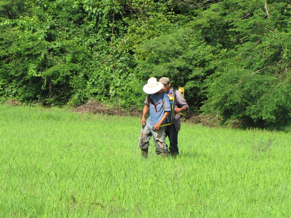 Salvador: Réformes de la loi sur le contrôle des pesticides, engrais et produits d’usage agricole