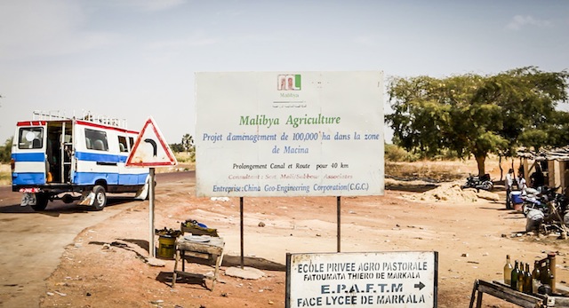 Accaparement des terres : Plus de 800 mille ha concernés au Mali