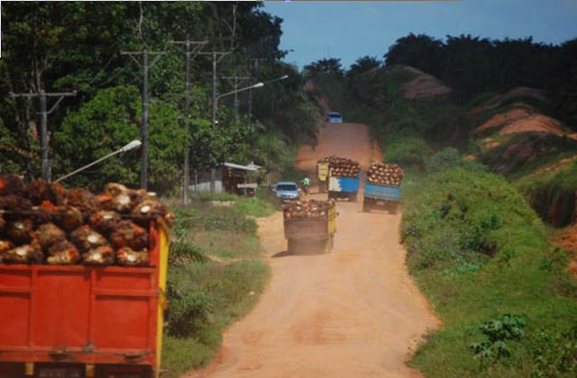 Sumatra : comment l’huile de palme a chassé des centaines de paysans de leurs terres