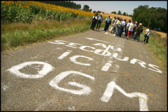Europe : Pas de passage en force pour le maïs OGM TC1507 !