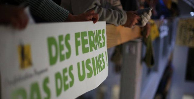 France : Le 17 février, enterrons les 1000 vaches !