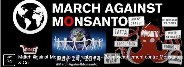 France : Strasbourg, Marche contre Monsanto