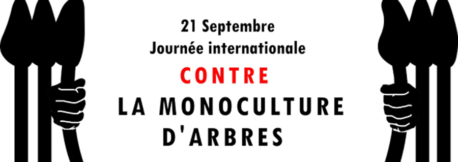21 Septembre 2014 : Journée internationale contre les monocultures d’arbres : Démantelons le pouvoir des transnationales de plantation !