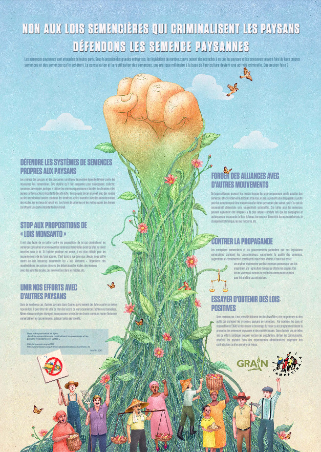 Infographie : Non aux lois semencières qui criminalisent les paysans