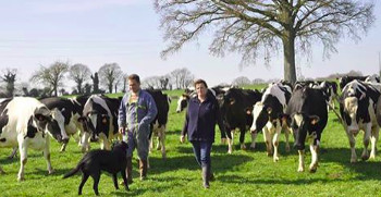 Les éleveurs européens demandent une reconnaissance immédiate de la crise en cours ainsi que des outils publics de régulation du marché laitier