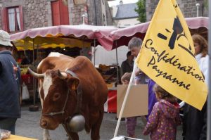 France : Décryptage du plan pour l’élevage – Trois milliards sans véritables solutions