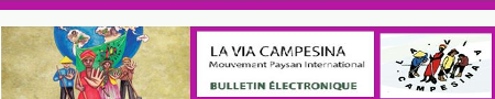 Bulletin électronique de la Via Campesina – Novembre  2015