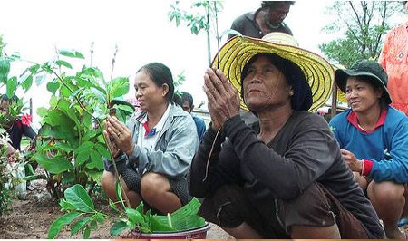 Thaïlande, Kao Bart : Les femmes paysannes en lutte pour leurs droits sur les terres et leur bien-être