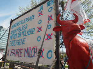 Europe : A un an de la suppression des quotas laitiers