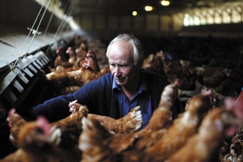 Quebéc : L’Union paysanne dénonce vivement la Fédération des producteurs d’œufs
