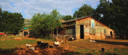 France : Les petites fermes plébiscitées par les citoyens