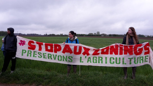 Belgique : 17 avril 2017 à Perwez, on a planté de la patate