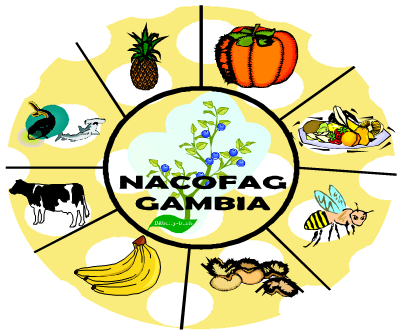 National Coordinating Organisation of Farmer Associations Gambia (NACOFAG)