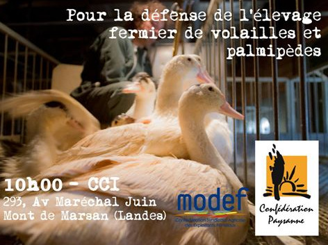 Manifestation inter syndicale lors de l’ag du CIFOG grippe aviaire : pour sauver l’élevage de plein-air, faisons entendre la voix des paysans !
