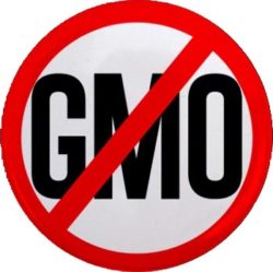 Alerte : Les nouveaux OGM bientôt dans nos champs ?