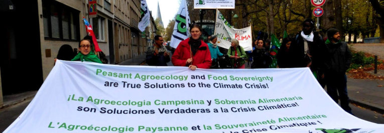 Communiqué de presse : La Via Campesina répond à la COP23 par l’agroécologie paysanne