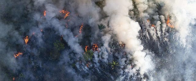 La Via Campesina : Brûler l’Amazonie est un crime contre l’humanité