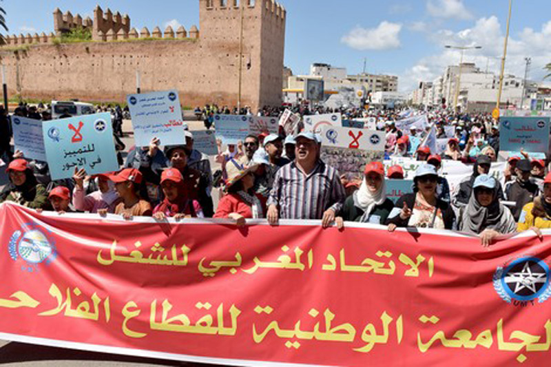 Maroc : la Fédération Nationale du Secteur Agricole en grève