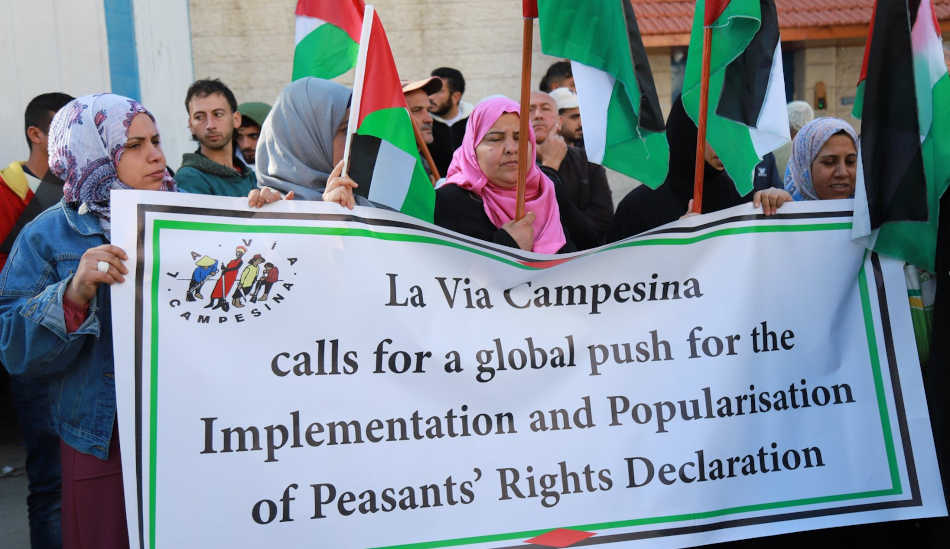 Gaza célèbre le premier anniversaire de la Déclaration des droits paysans